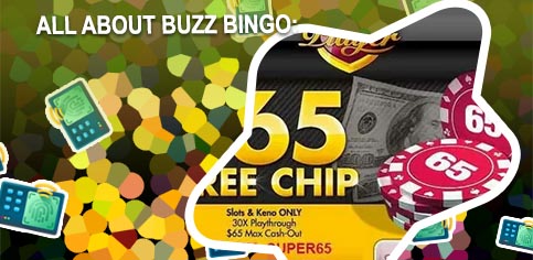 Buzz bingo no deposit bonus codes